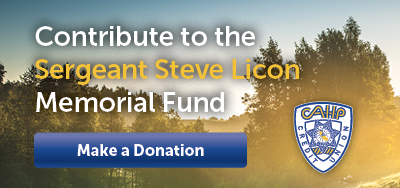 Button to donate for Sergeant Steve Linton.